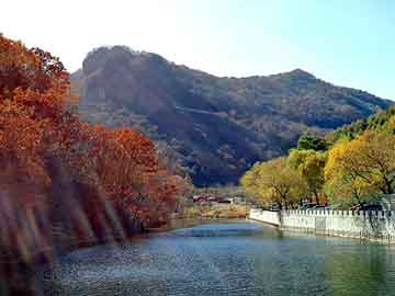 新澳天天开奖资料大全旅游团，豪门 小说